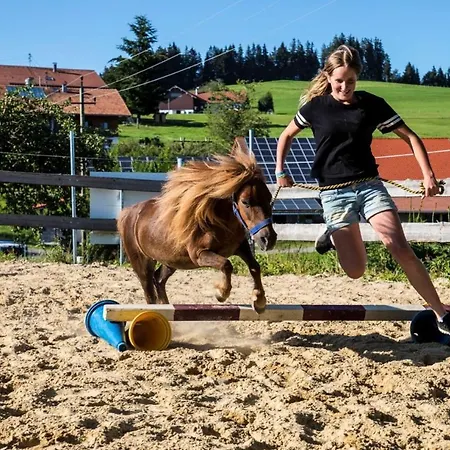 Biobauern- Und Pferdehof Scholl